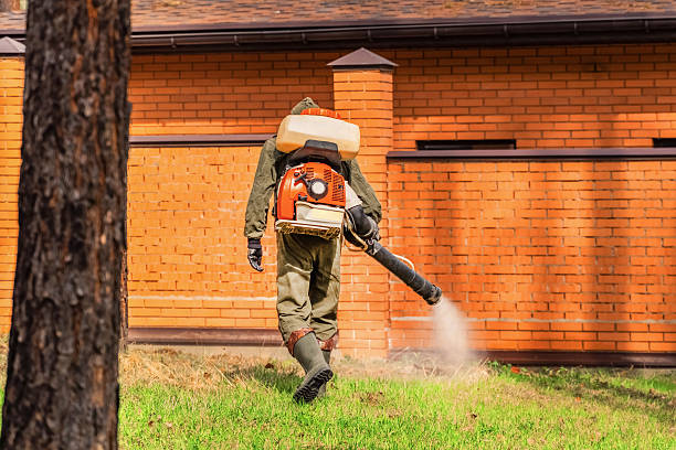 Bed Bug Clearance Verification and Documentation in Danville